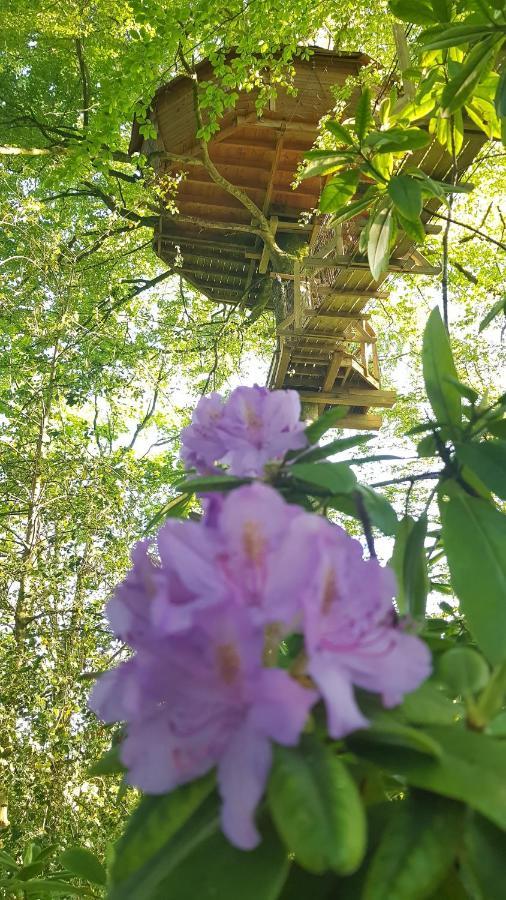 Le Domaine De Wail - Legends Resort Pokój zdjęcie